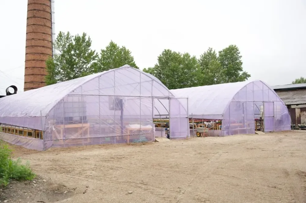 Более 130 тысяч цветов украсят улицы Биробиджана этим летом