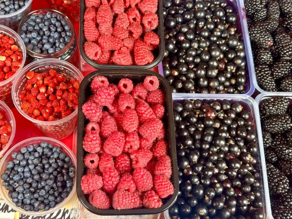 Врач-педиатр из ЕАО рассказала, какие ягоды обязательно нужно давать детям