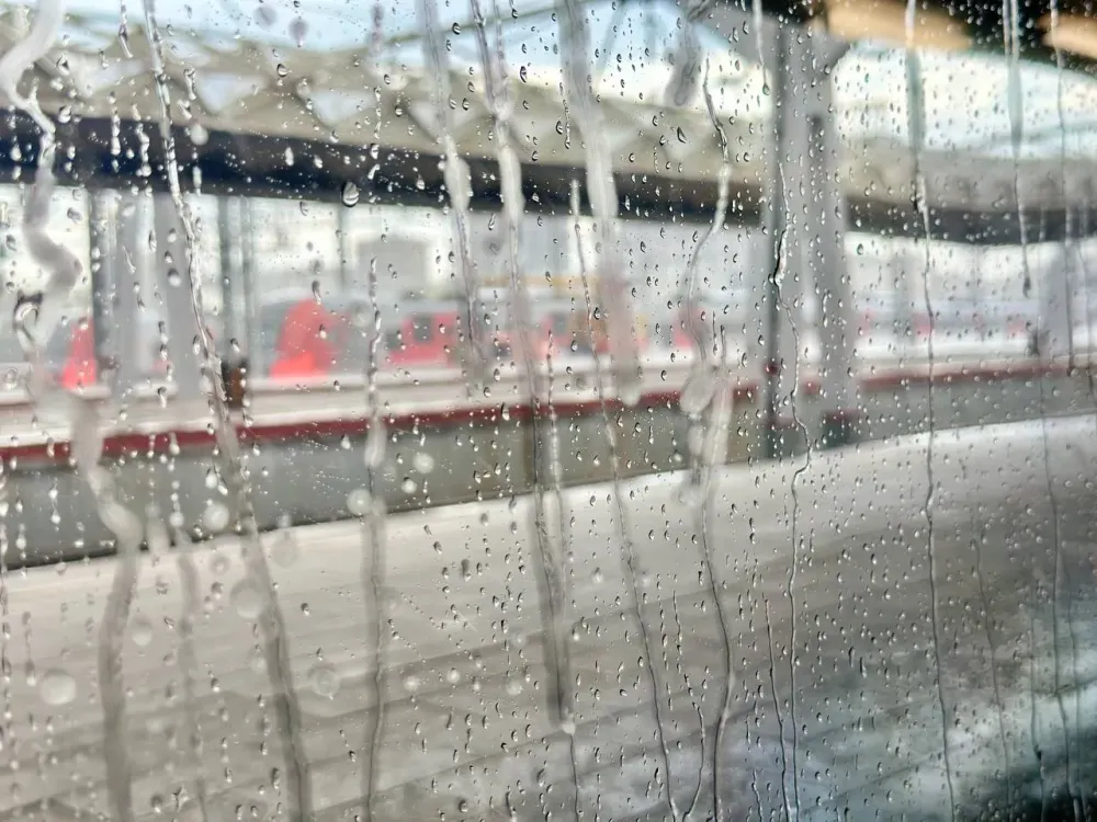 Небольшой утренний дождь накроет районы ЕАО в понедельник