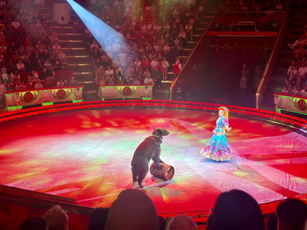 Цирк уехал, проблемы остались: За безответственность к животным ответит цирк в Биробиджане