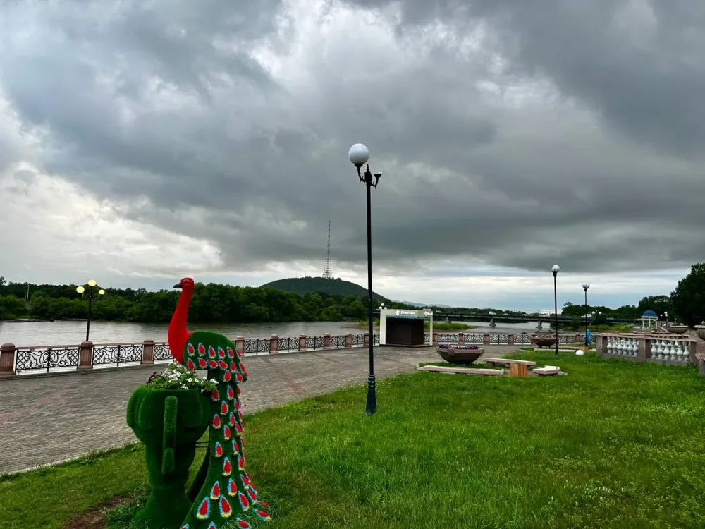 По-осеннему прохладно будет в пятницу в ЕАО