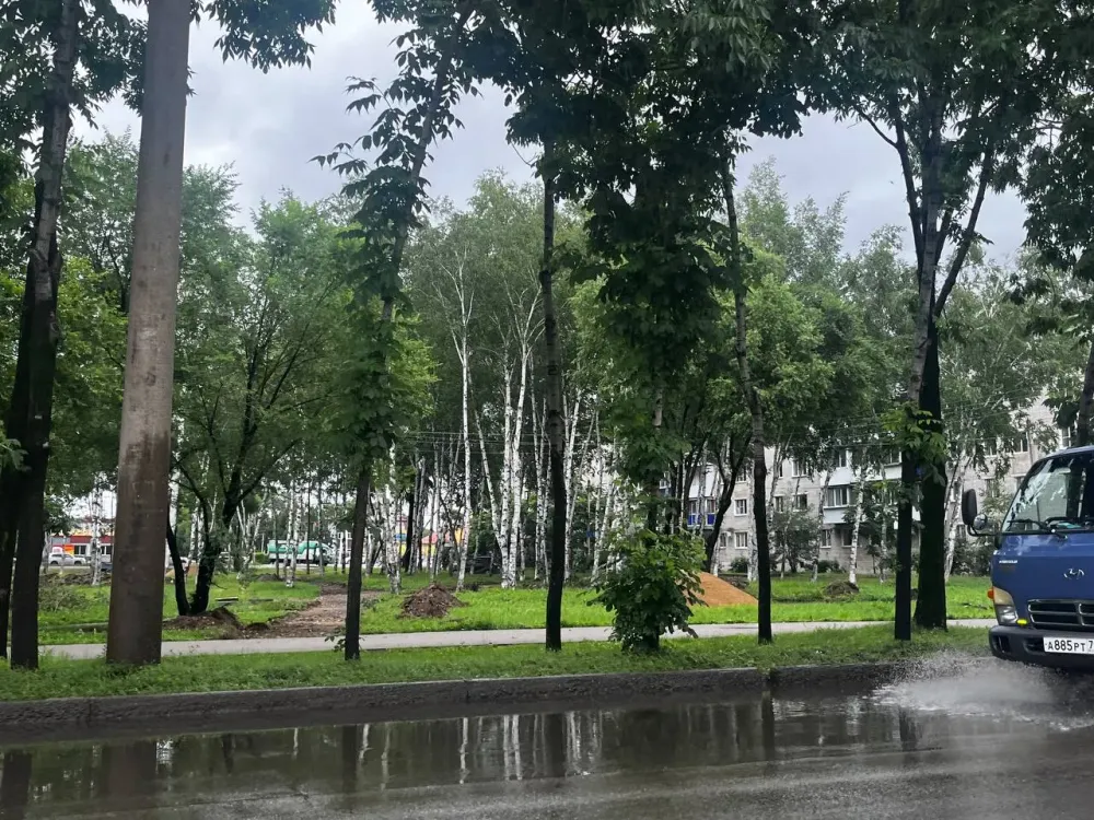 Место для дрессировки и выгула собак появится в Биробиджане