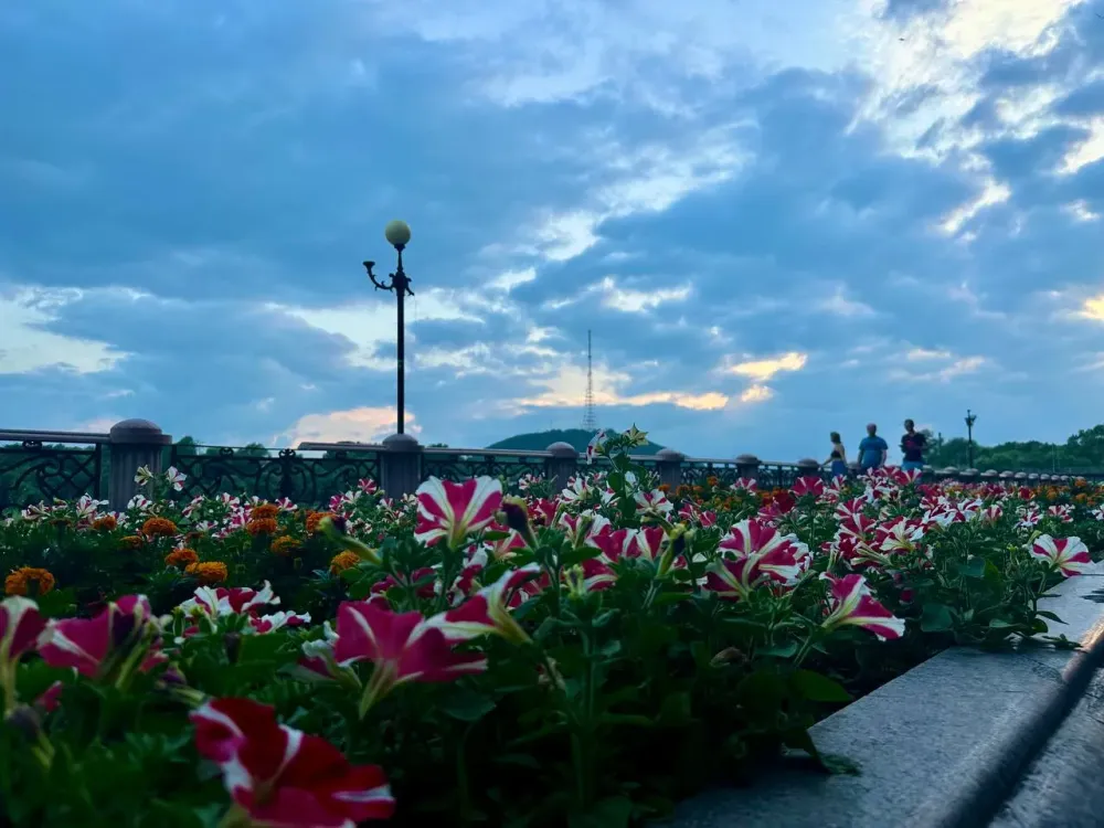 Выплаты, возможности маткапитала и новый анализатор: Дайджест новостей недели в ЕАО