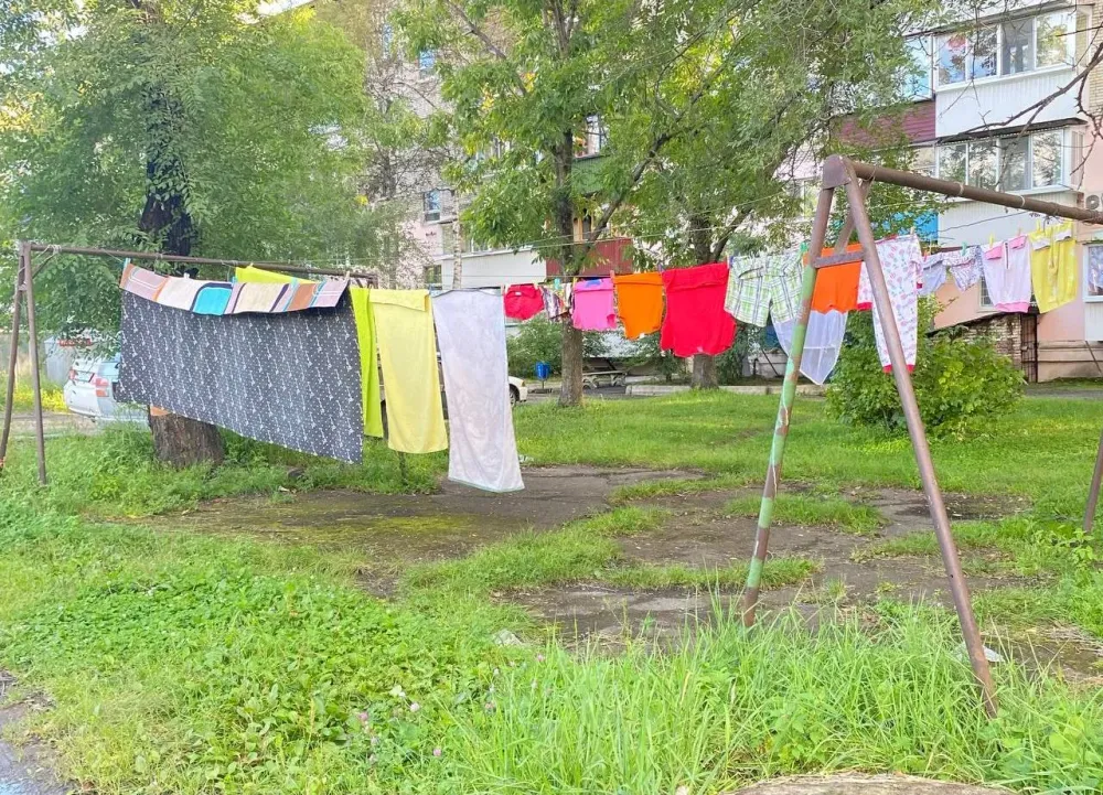 За кражу штанов с бельевой веревки на 2 года отправится в колонию биробиджанец