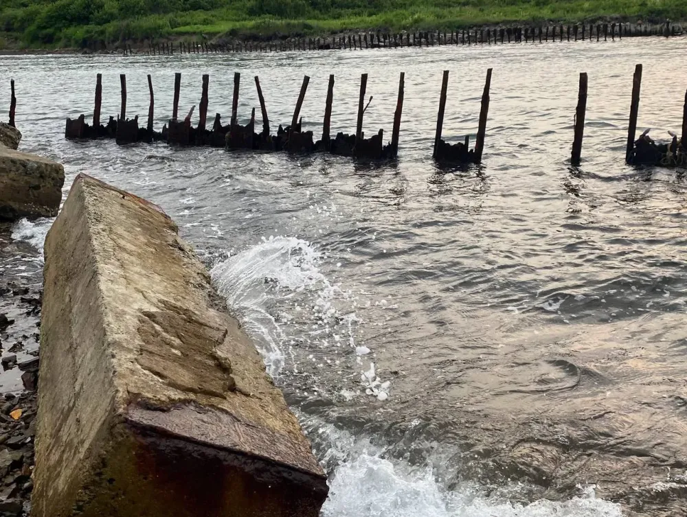 Цена месторождения золота в ЕАО на аукционе выросла в 22 раза