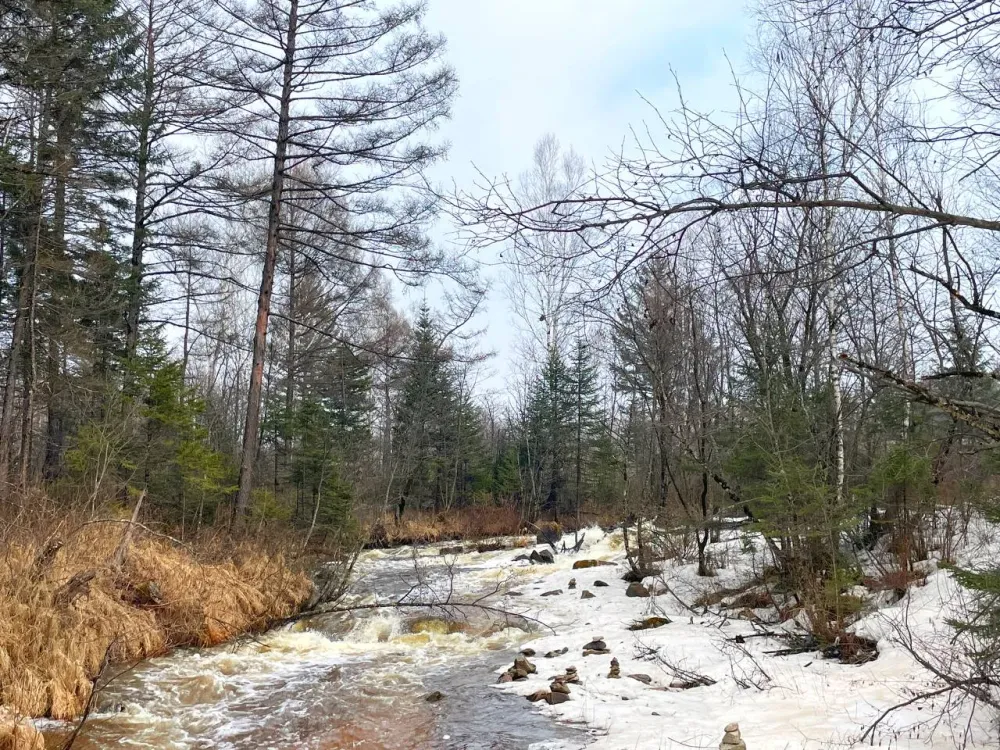 Нарушения в охране лесов от пожаров нашел Рослесхоз в ЕАО