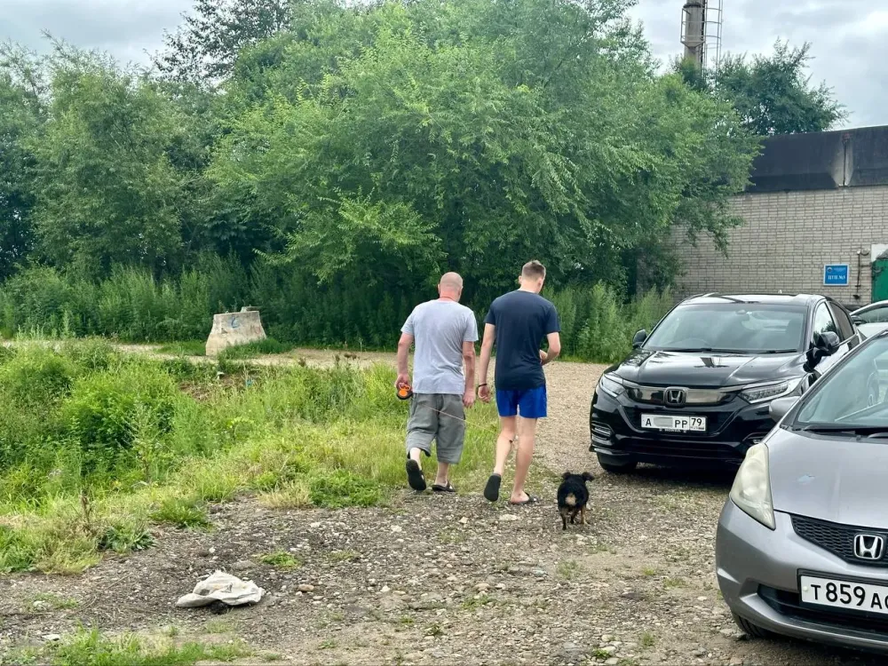 Пытался помочь другу, но был обманут мошенниками житель ЕАО