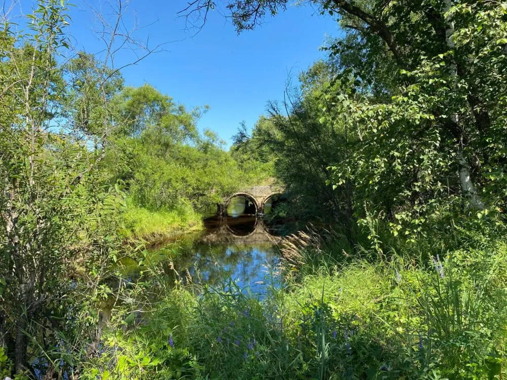 По полям и лесам собирал дикорастущую коноплю житель ЕАО