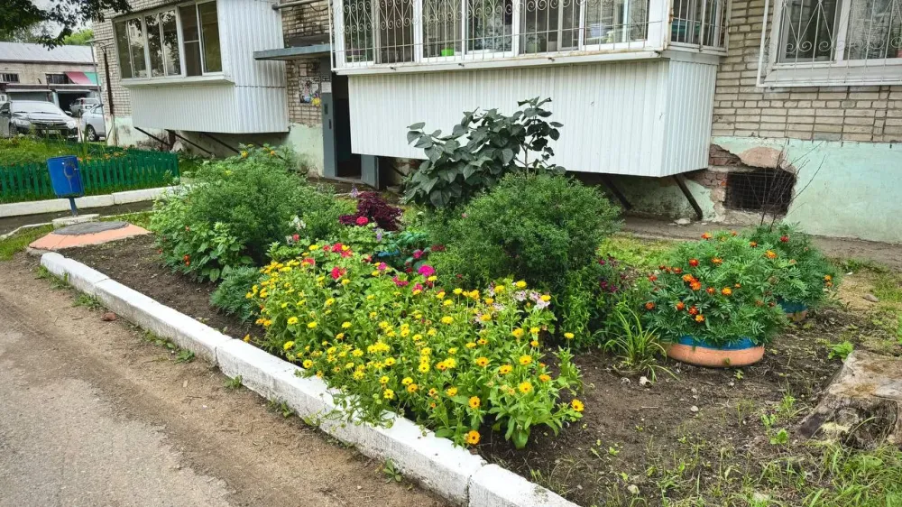 Похвастаться своим балконом решили более 100 биробиджанцев