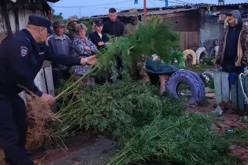 Наркоферму обнаружили в отдаленном и малонаселенном селе ЕАО