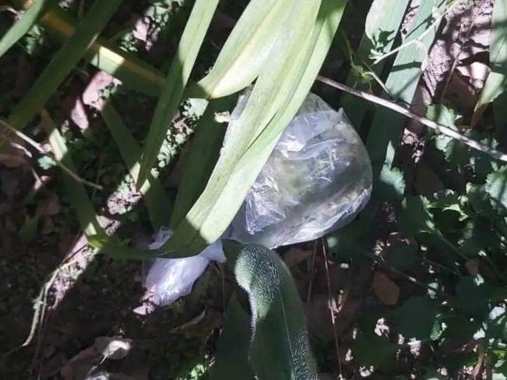 Пытался выкинуть наркотики во время задержания житель Биробиджана