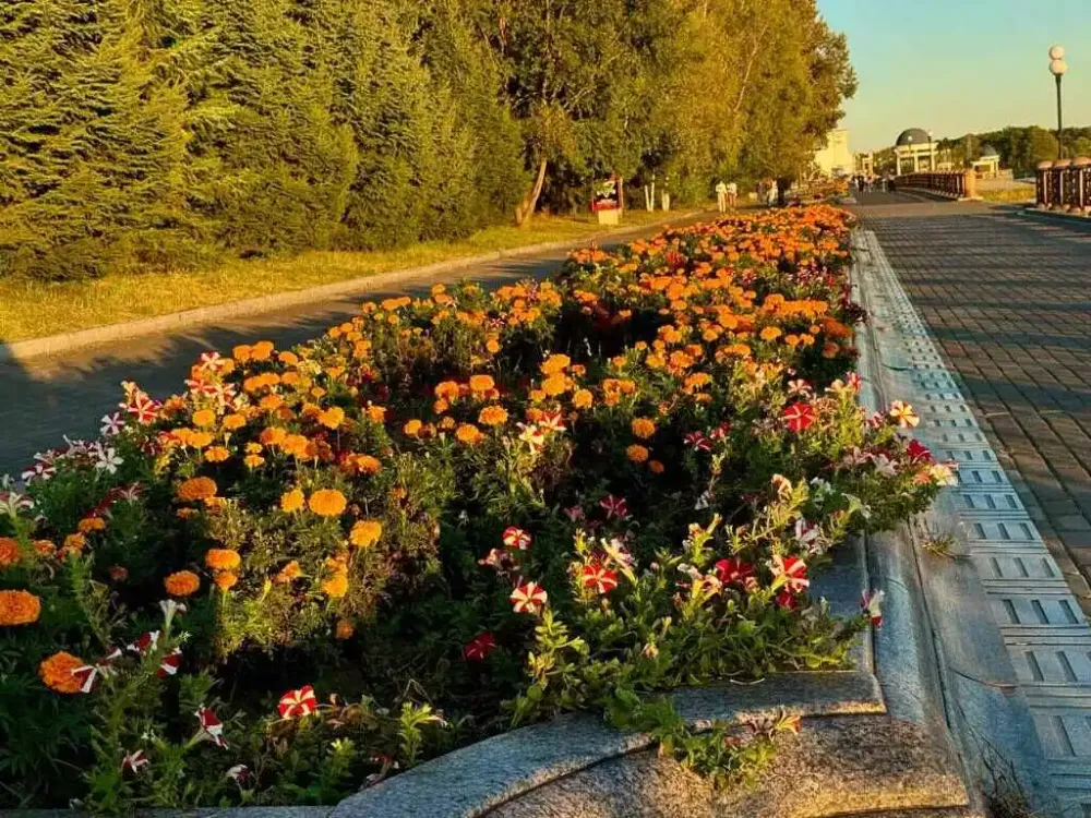 Тёплую и ясную среду прогнозируют синоптики в ЕАО
