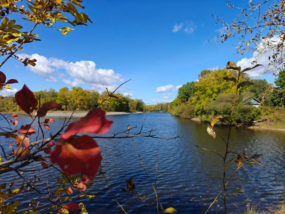 Школа блогеров, ремонт больницы и новые квартиры — дайджест новостей недели в ЕАО
