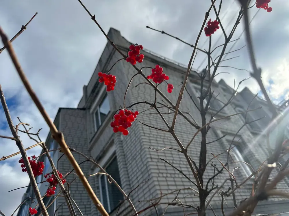 Теплый ясный день прогнозируется в ЕАО 31 октября