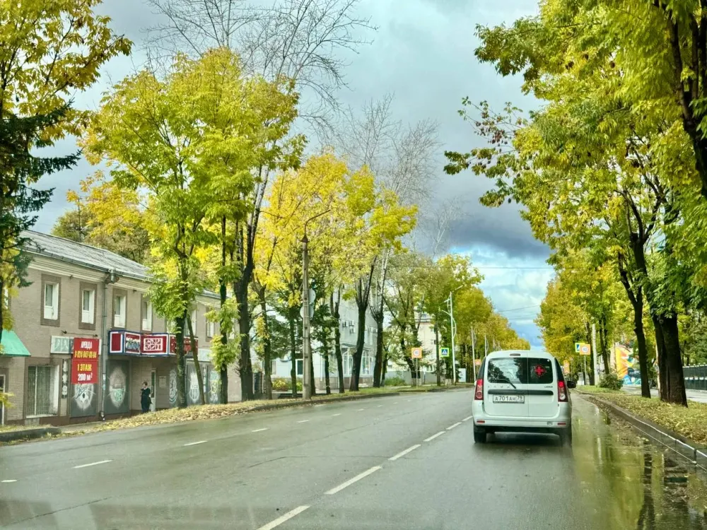 Похолодание и минусовая температура ночью: прогноз погоды на 20 октября в ЕАО