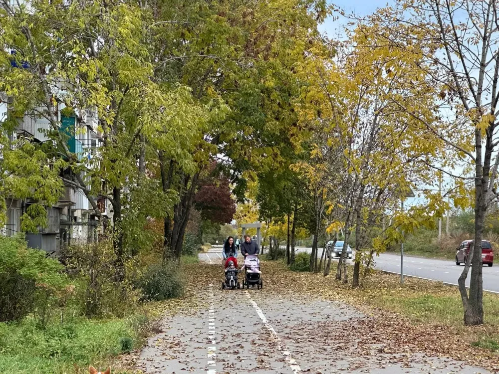 В ЕАО нарушают права многодетных семей на получение земельных участков