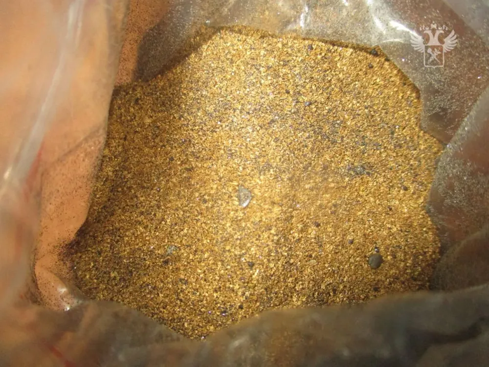 Золотой песок на 4 млн рублей нашли у выезжающих из ЕАО китайских гастарбайтеров