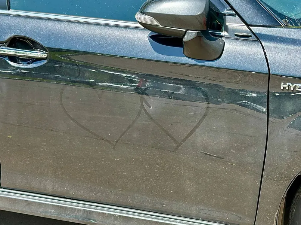 Конфискация как мера наказания: судьба совместной собственности жителей ЕАО