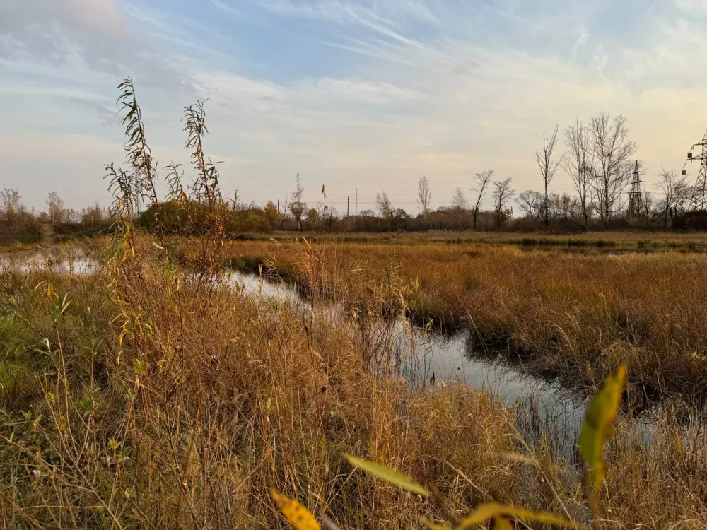 Какую погоду ждать жителям ЕАО до конца октября