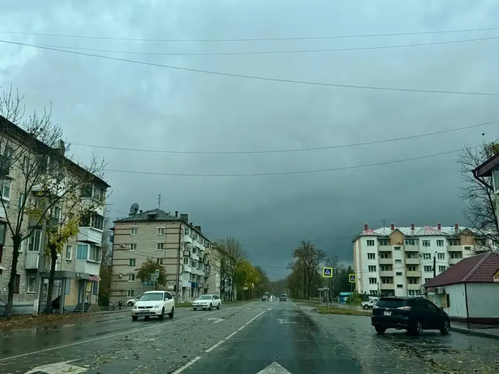 Ливень с грозой прогнозируют синоптики этой ночью в ЕАО