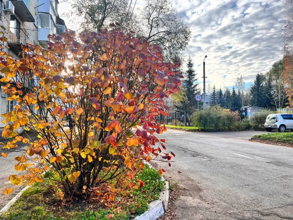Снег и дождь обещают в ЕАО синоптики 21 октября