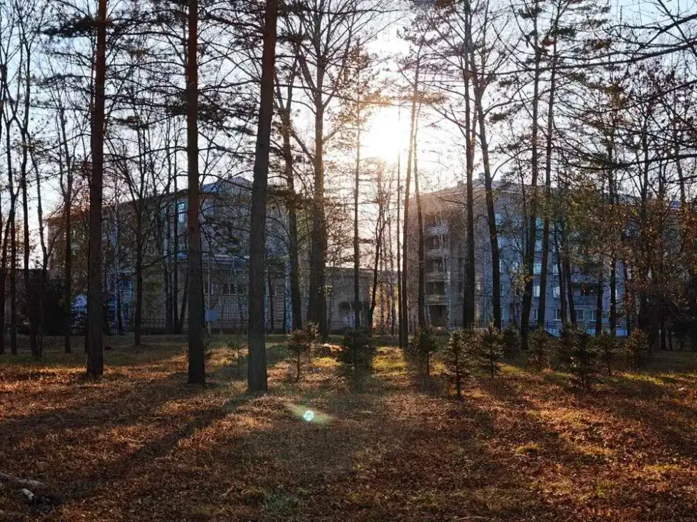 Сильный ветер прогнозируют в этот четверг синоптики в ЕАО