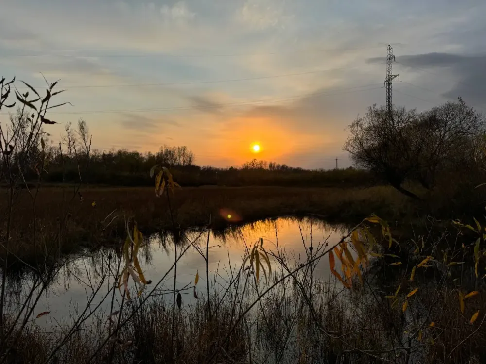 Небольшой снег: прогноз погоды в ЕАО на субботу