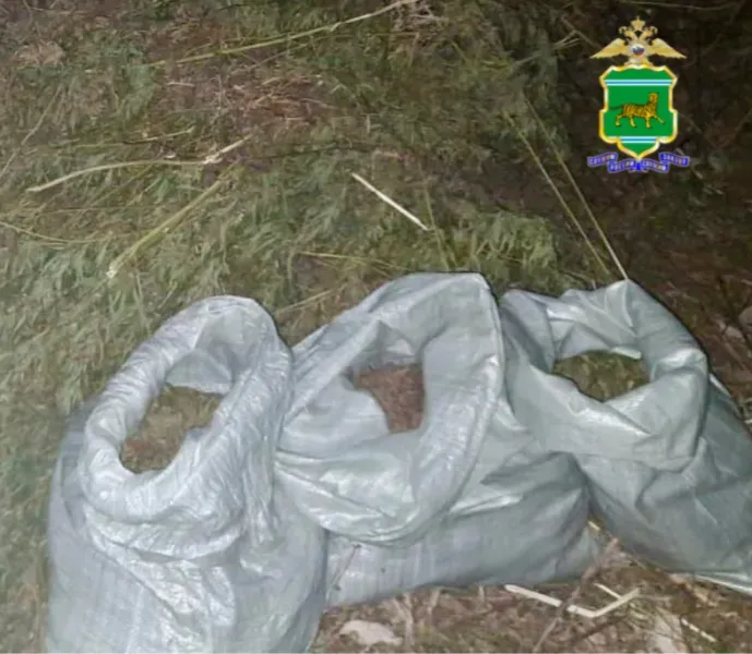 Задержали трех мужчин за  сбором дикорастущей конопли в ЕАО