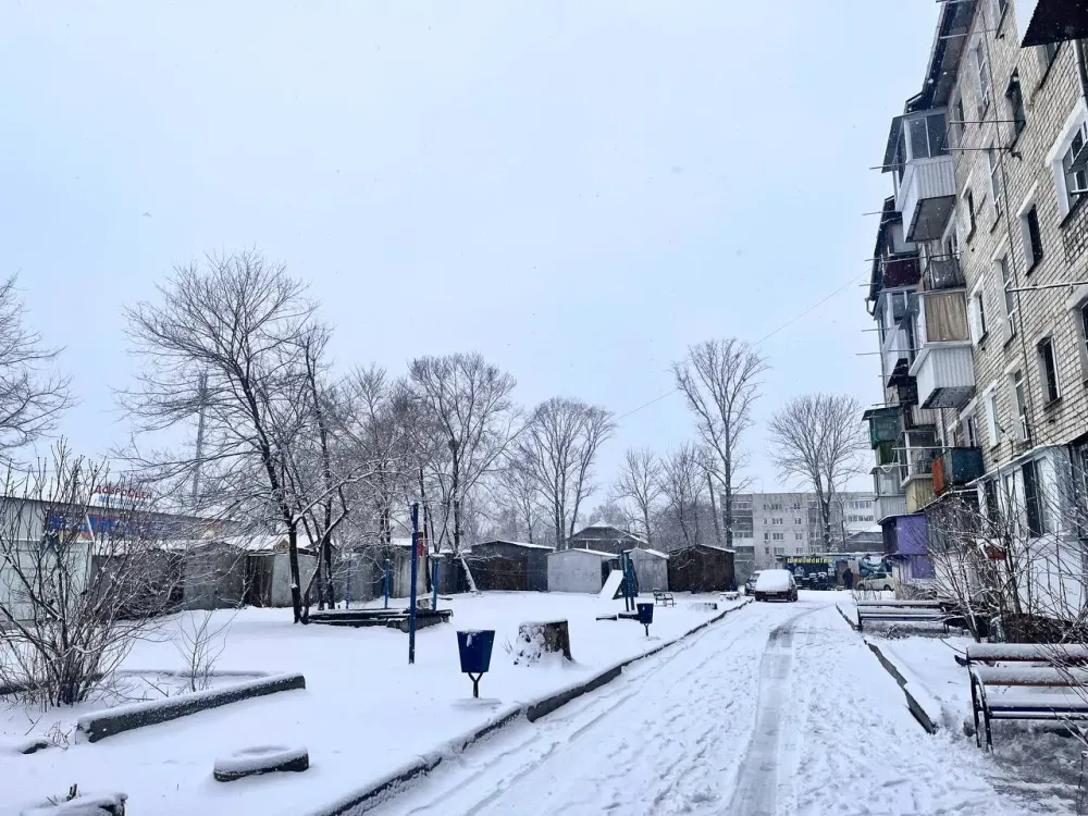 Новый асфальт, поддержка бойцов СВО и освещение: дайджест новостей недели в ЕАО