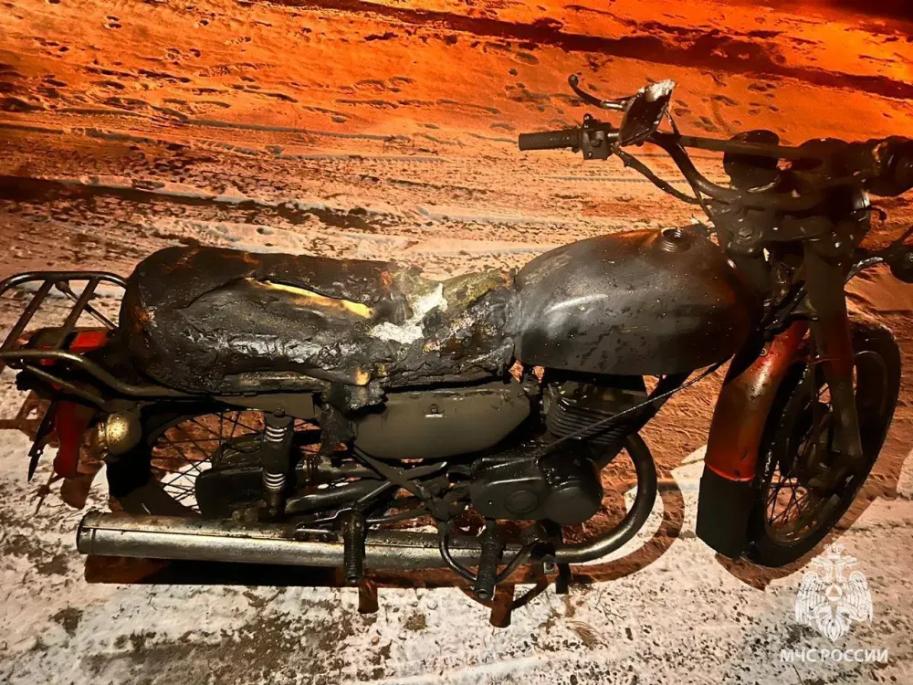 Лай пса предотвратил беду в ЕАО