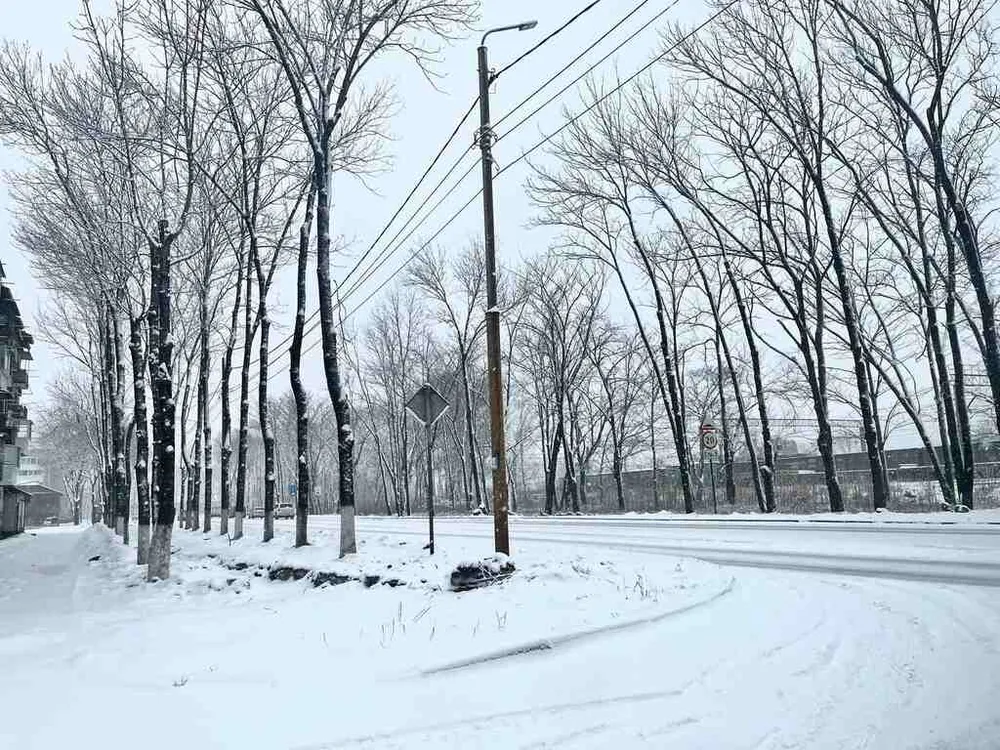 Помощь фронту, ремонт дорог и мировое господство – дайджест новостей недели