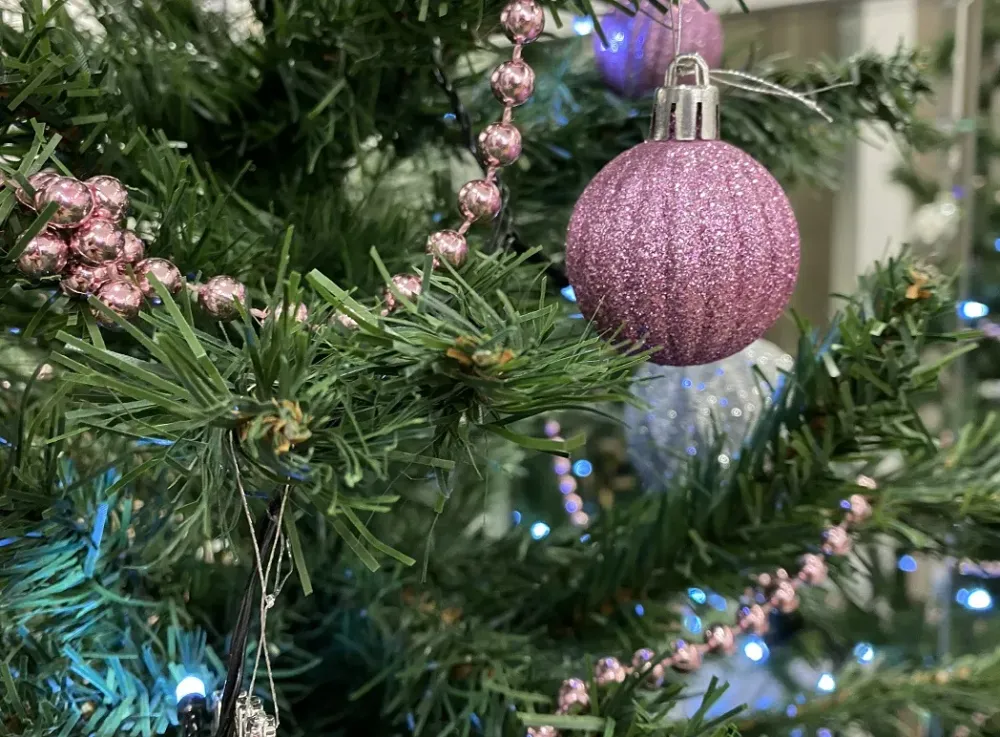 Общественные пространства, благоустроенные по проекту ФКГС, поучаствуют в конкурсе «Ёлки России»