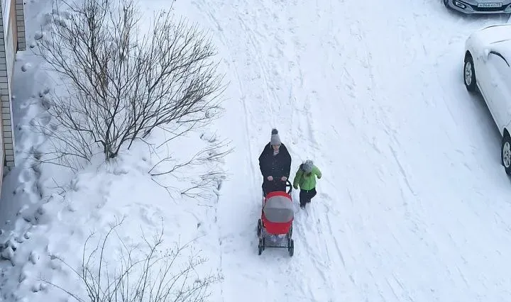 Инициативы для поддержки приемных семей и участников СВО разработаны в ЕАО