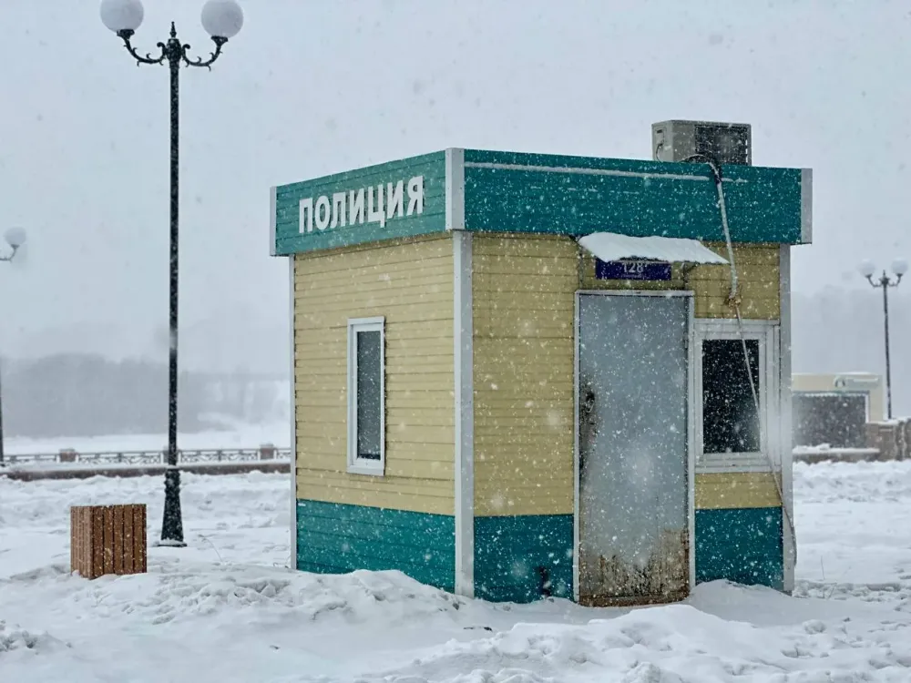 Как на праздник: с очень необычной кражей задержали биробиджанца