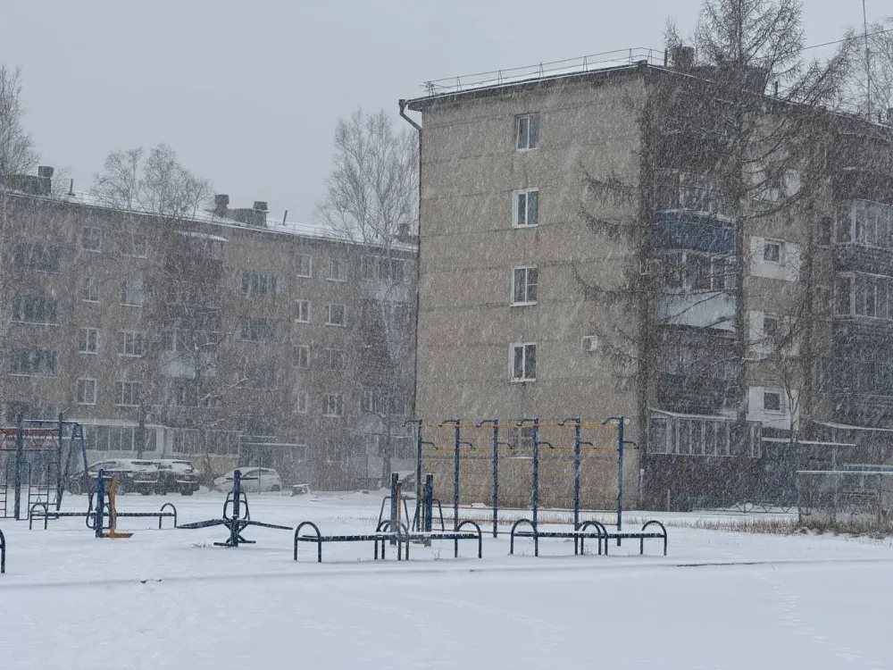 Мороз до -31° прогнозируют в районах ЕАО ночью на 3 декабря – погода