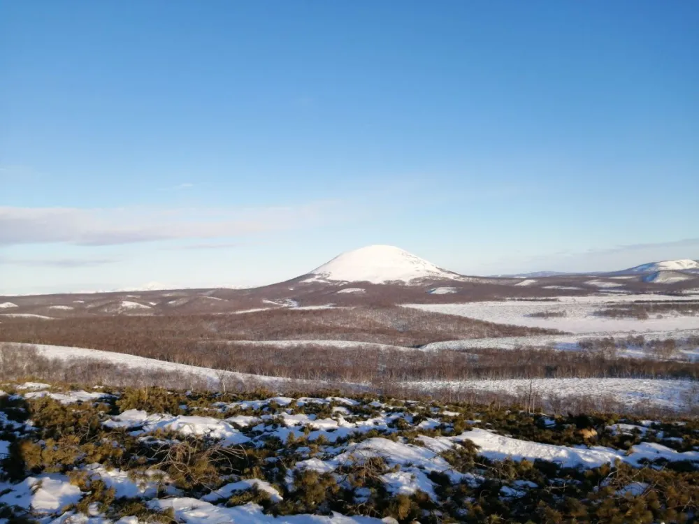 Гороскоп на 1 февраля: Льва ожидает буря, Скорпиону лучше не мучаться