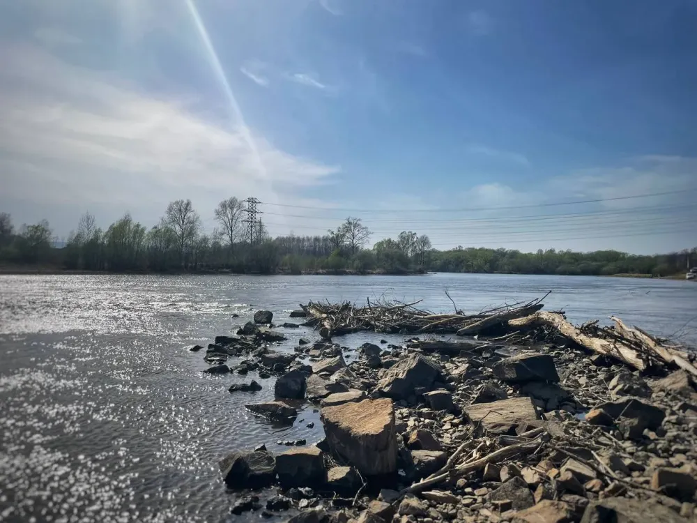 Нанесли вред рекам ЕАО: суд обязал золотодобытчиков провести рекультивацию лесных земель