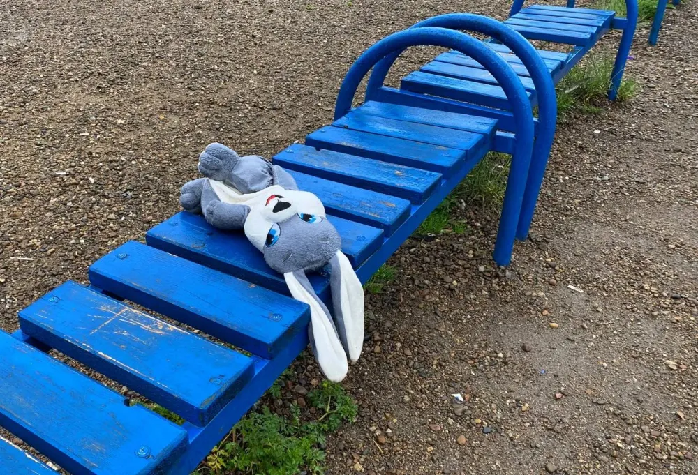 К детям не подходить: на 18 лет суд запретил биробиджанке работу, связанную с воспитанием