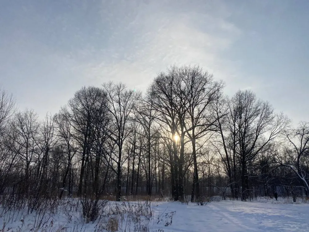 Похолодание и слабый ветер: прогноз погоды на 22 января