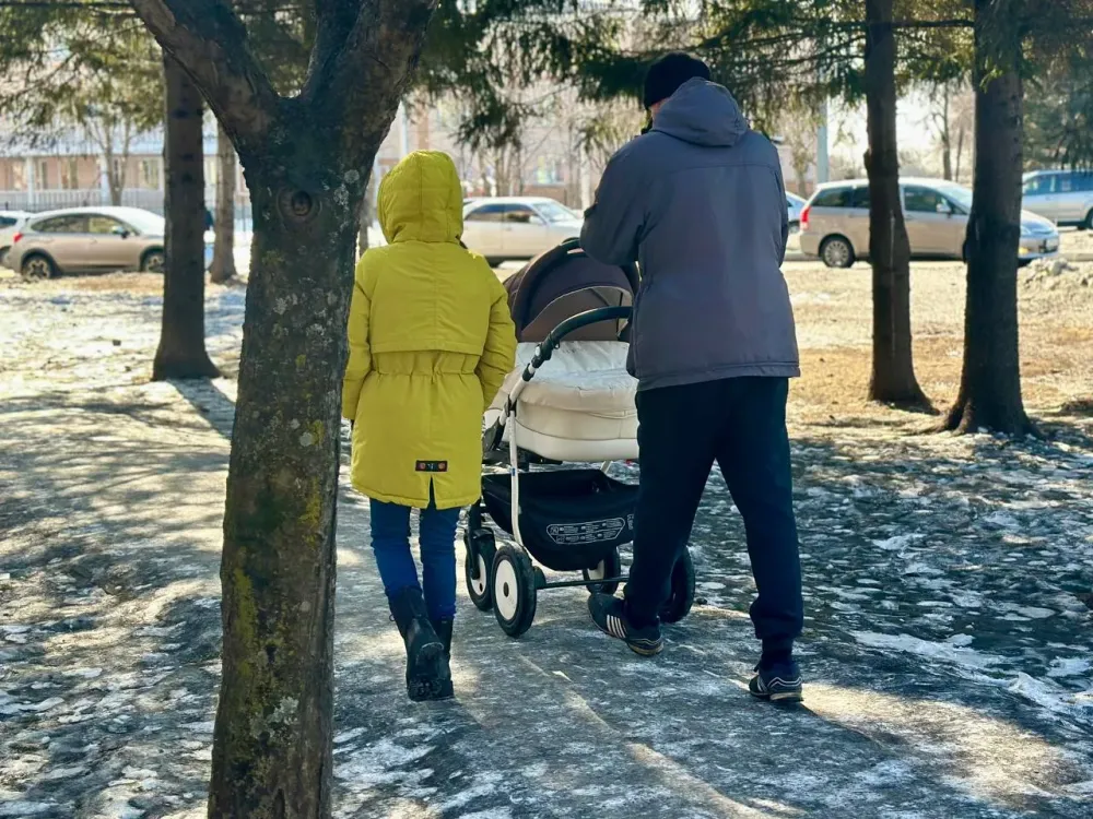 Чиновники ЕАО не спешат выделять земельные участки для многодетных семей