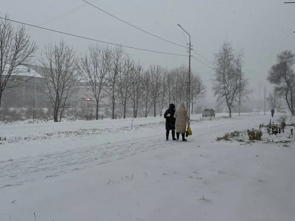 Снег и дымка: прогноз погоды на 19 января в ЕАО