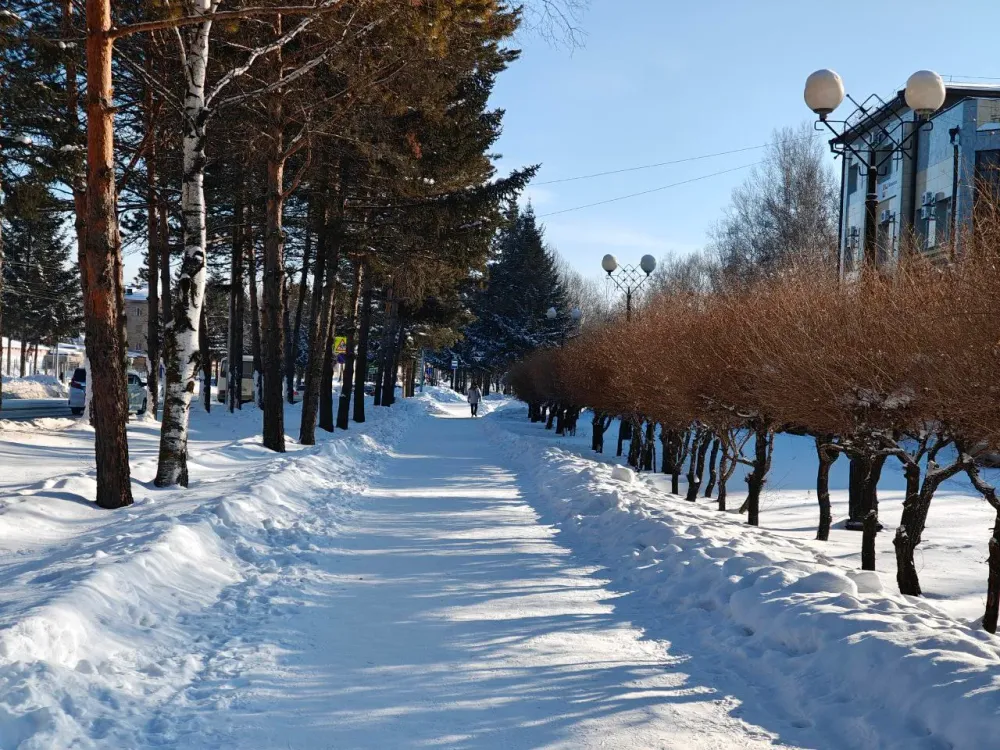 Высокое давление и переменная облачность: прогноз погоды в ЕАО на субботу