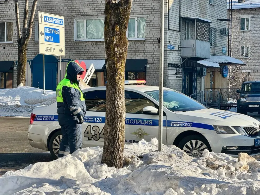 Водитель сбил у дома 88-летнюю пенсионерку и скрылся с места ДТП в Биробиджане