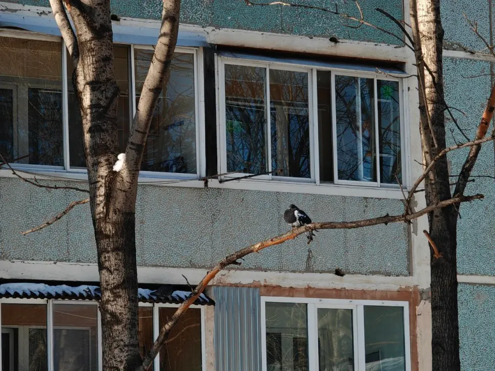 Эвакуировали жильцов многоэтажки в Биробиджане из-за подгоревшей еды