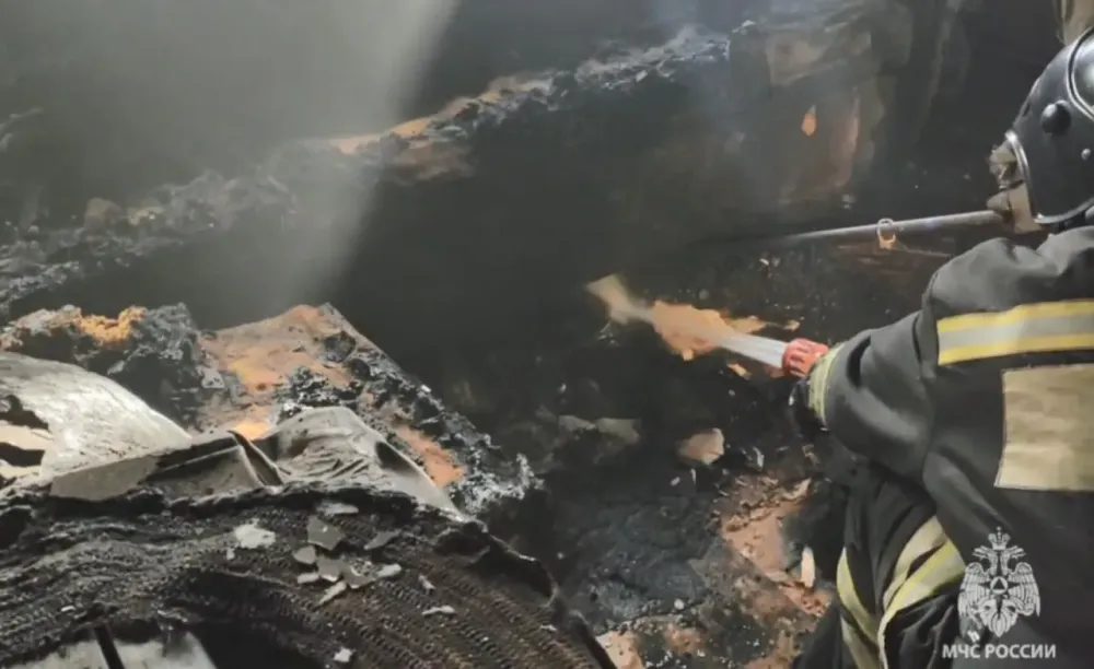 Тело мужчины и две погибшие кошки найдены в сгоревшем доме в Биробиджане