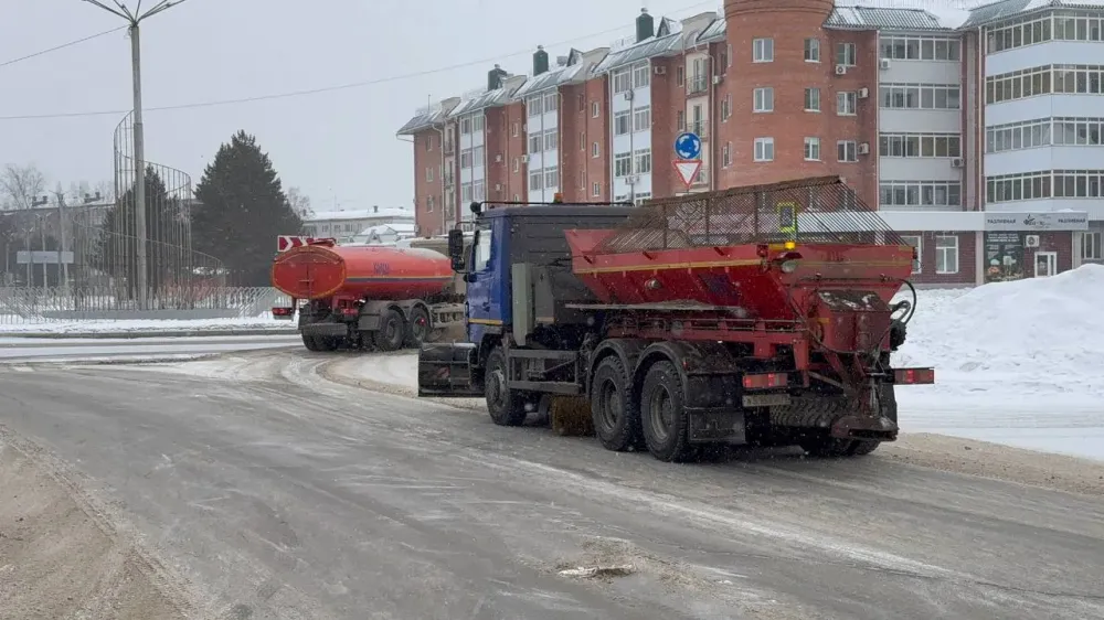 Ни сил, ни средств на вывоз всего снега у нас нет — мэр Биробиджана