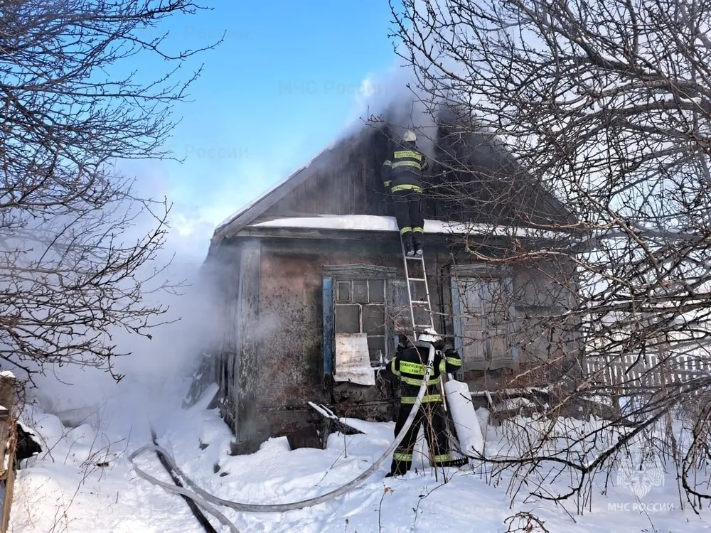 Следственный комитет заинтересовался гибелью в пожаре мужчины с кошкой в ЕАО
