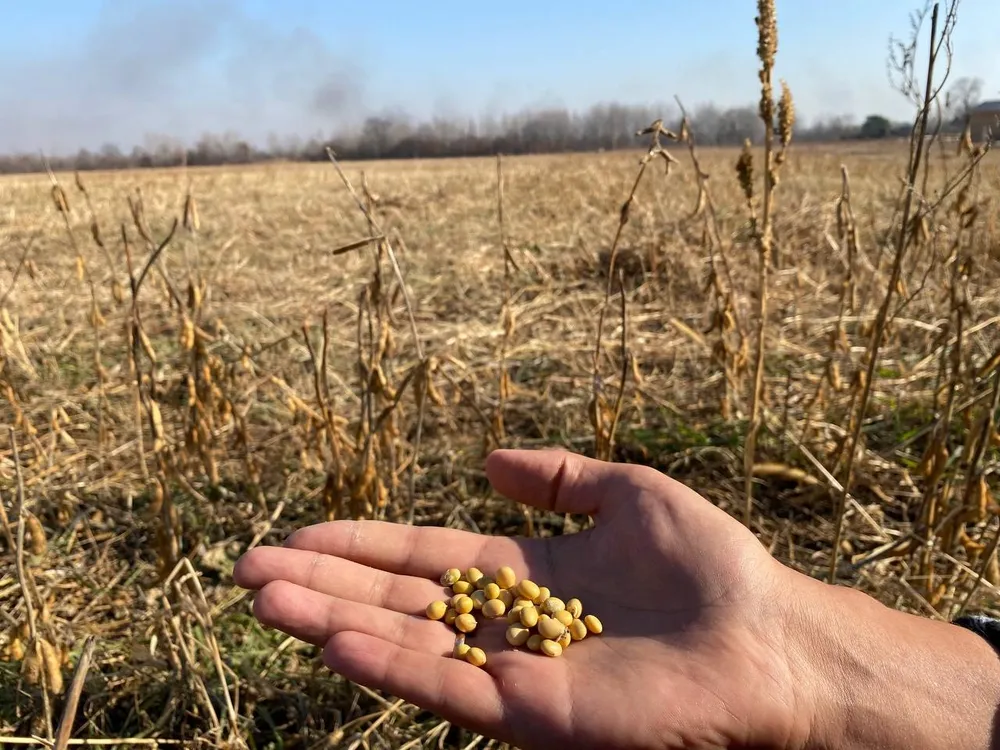 Фермеры ЕАО отказываются страховать урожай от рисков