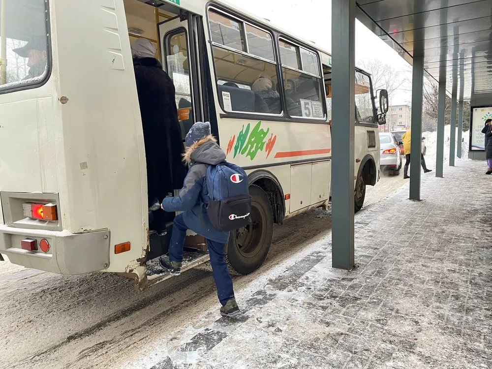 Бесплатно ездить на автобусах будут дети из многодетных семей в ЕАО