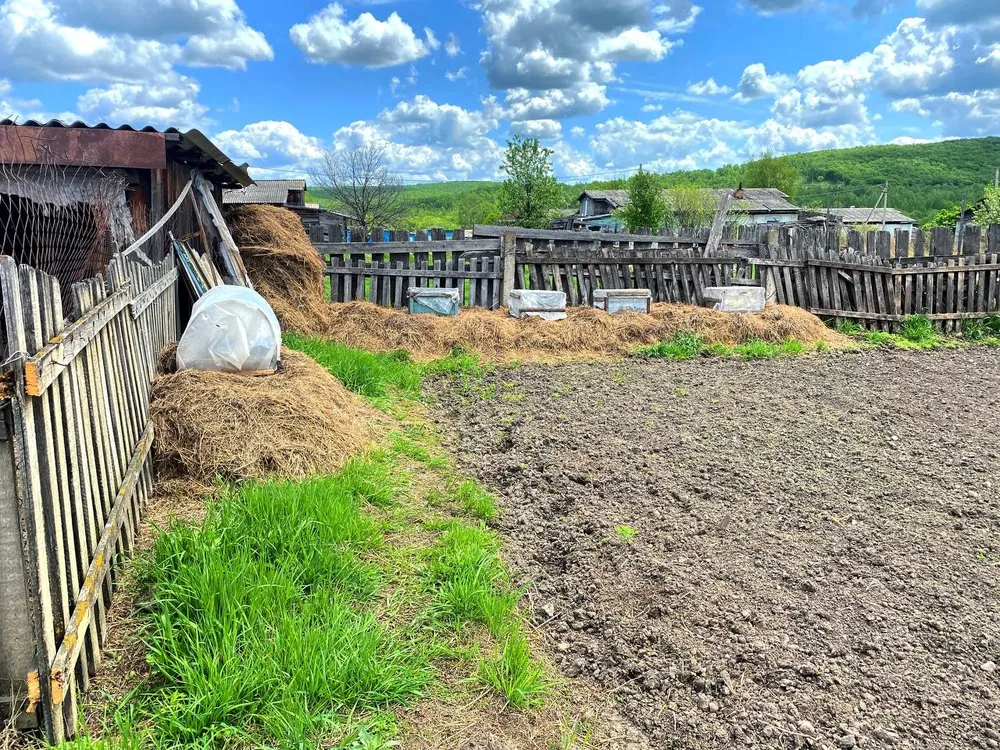 Начнут изымать неиспользуемые земельные участки у жителей ЕАО с 1 марта